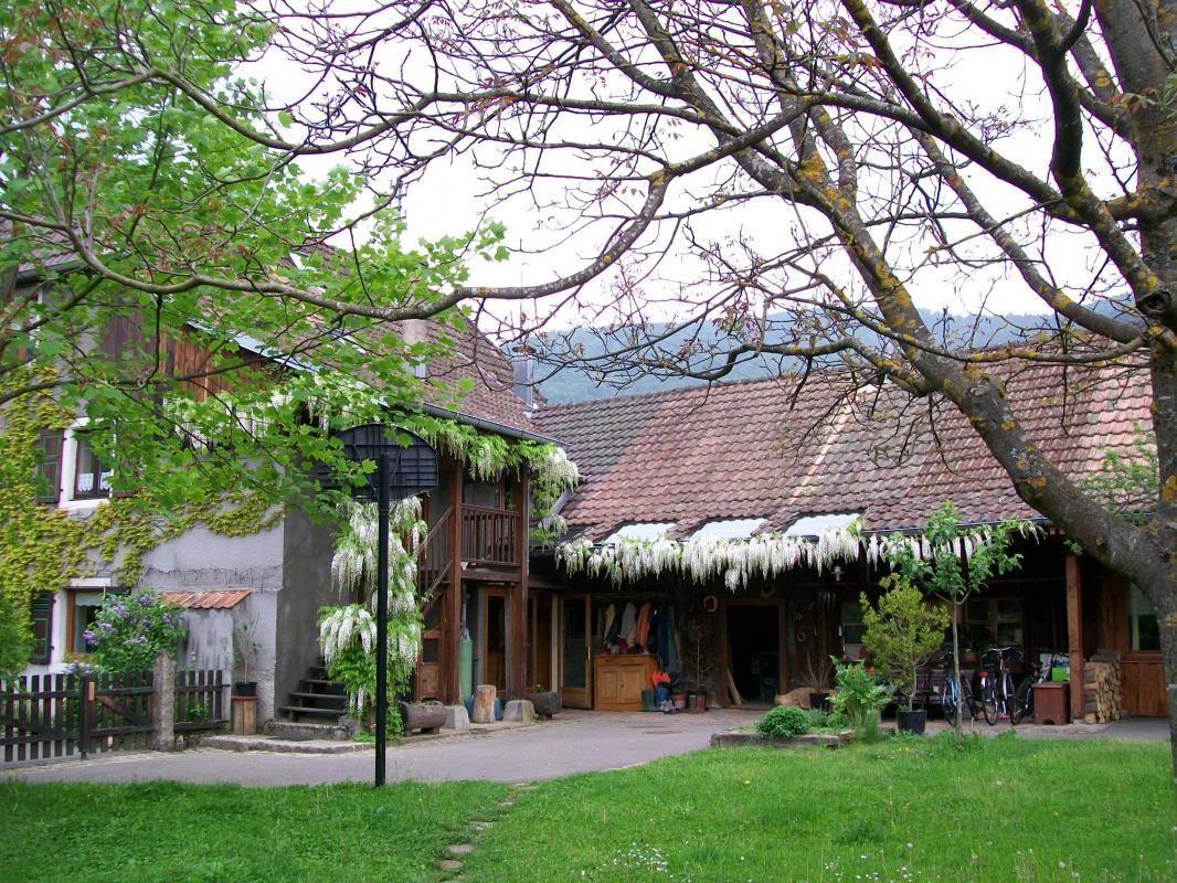 gite rural gite des marguerites dolleren